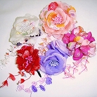 2009�N�a���A�N�Z